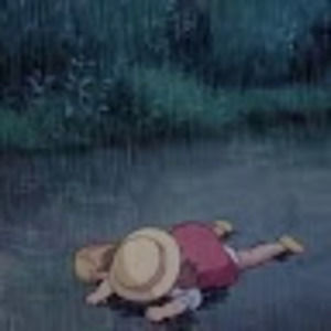 Meet your Posher, Bennett